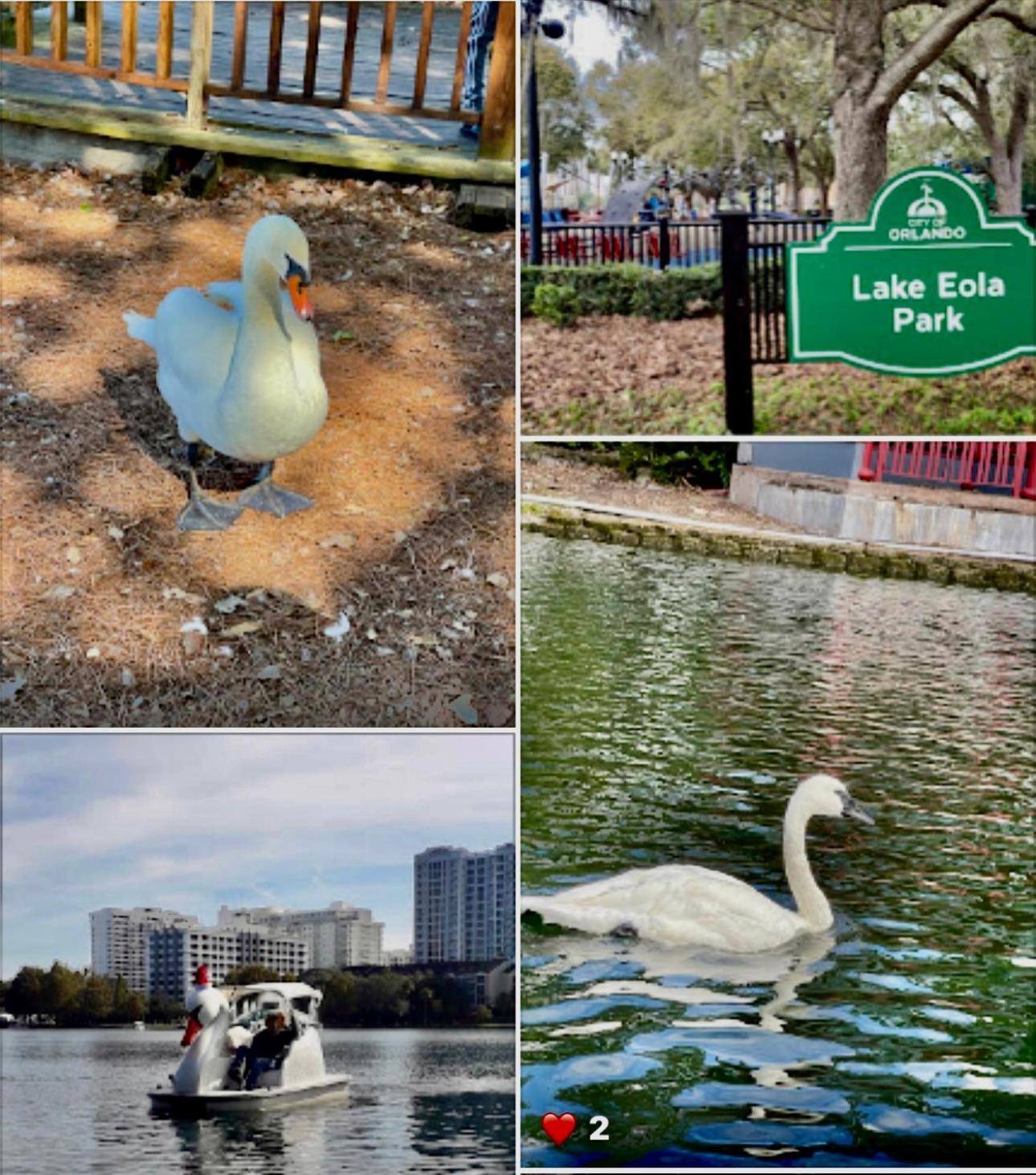 Happy Place Orlando Ngoại thất bức ảnh